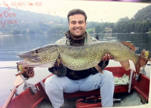 Pike caught in Lake Orta in 2007, demonstrating the successful return of predatory fish species to the restored lake
