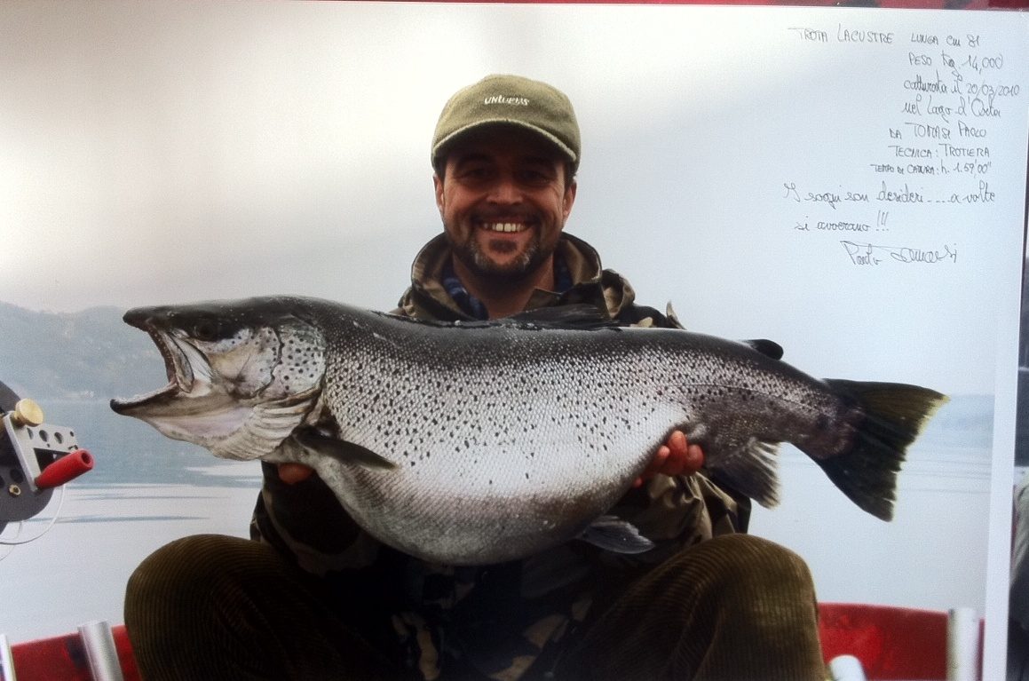 Large lake trout caught in Lake Orta, evidence of the lake's remarkable biological recovery after the liming restoration