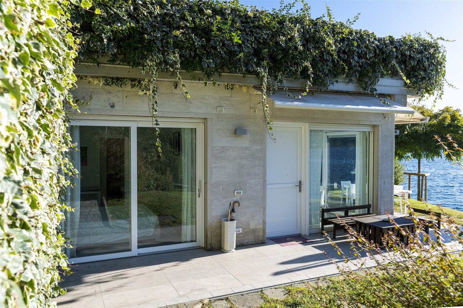 Facade entrance with ivy closeup